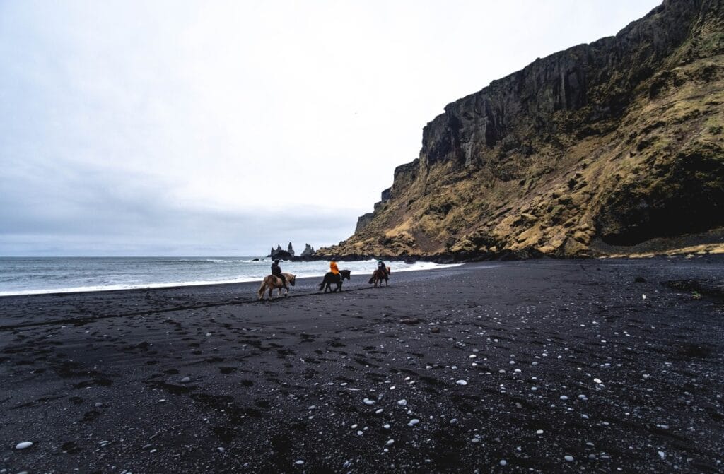 South Coast & Black Sand Horse Riding Tour
